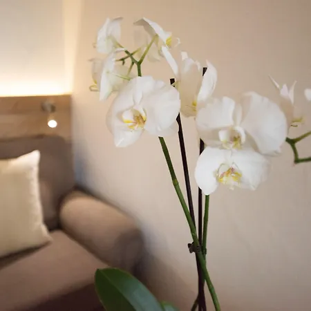 Feriested Vier Jahreszeiten Am Schluchsee