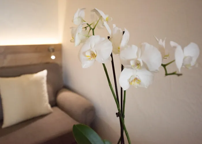 Resort Vier Jahreszeiten Am Schluchsee